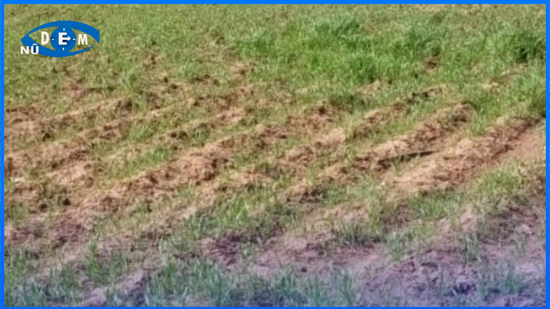 بذار فاسد… ومسؤولون يسرقون موسم الفلاح